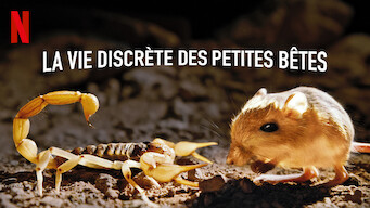 La vie discrète des petites bêtes (2020)